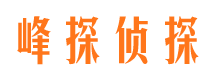 青山区市侦探调查公司